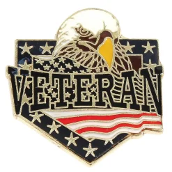 Veteran Eagle Black Lapel Pin 994188 by Ruffin Flag Company