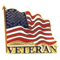 Veteran Flag Lapel Pin P09621 (C002) by Eagle Emblems